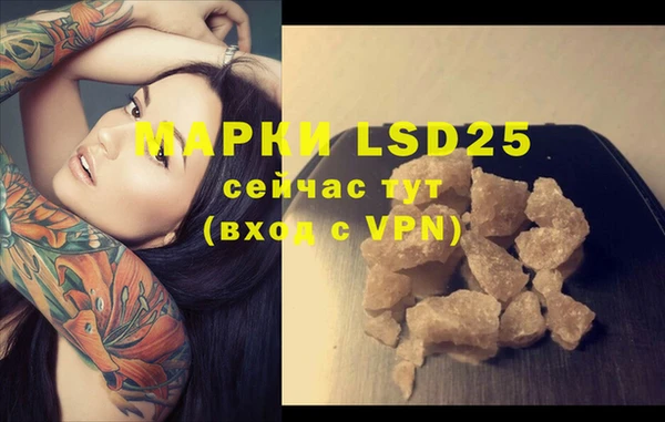 прущие крисы Абаза