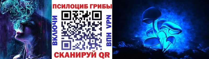 Галлюциногенные грибы Psilocybine cubensis Одинцово