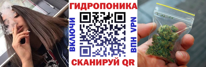 Конопля ГИДРОПОН  что такое   Одинцово 